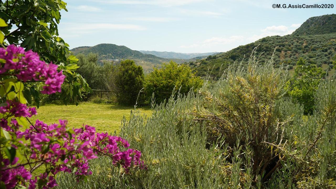 Villa Casa La Negra Periana Esterno foto